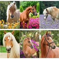 new 5d diy scenery diamond painting animal cross stitch full square round drill horse diamond embroidery home decor manual gift