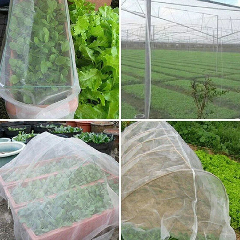 

Crop Protection Net Vegetables Fruit Flowers Plant Protection Greenhouse Garden Net Encryption Insect Net XH8Z