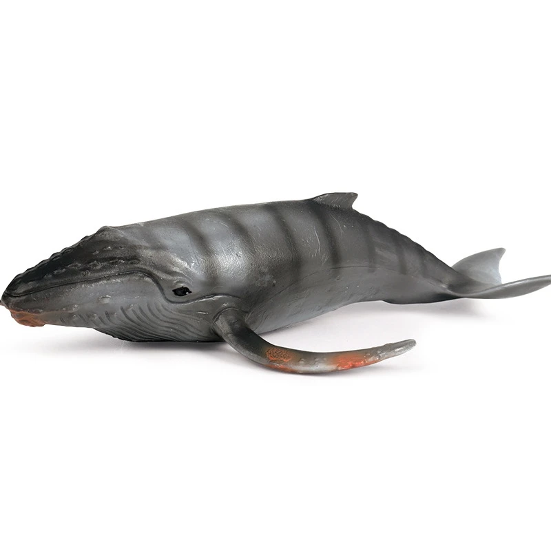 

Sea Life Whale Toys Simulation Animal Model Action Toy Figures Classic Toys Animal Model Collection