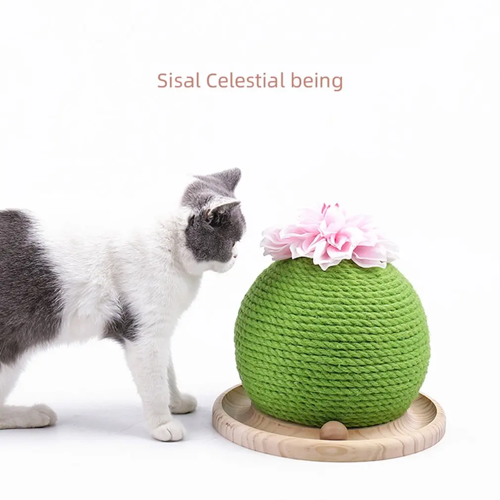 

Cactus Shape Cat Scratcher Circle Track With Moving Balls Cats Interactive Toys Funny Ball Funny Pet Toy