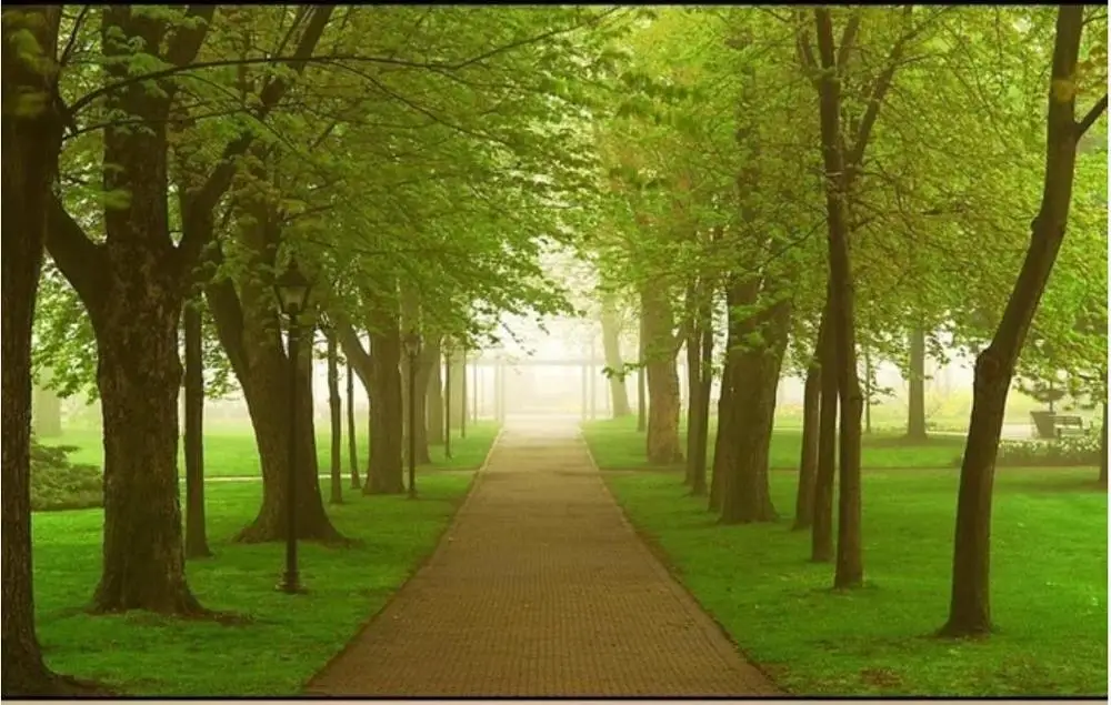 

Custom photo wallpaper for walls 3 d wall murals wallpaper Shulin Avenue tree scenery 3D TV background wall painting decorative