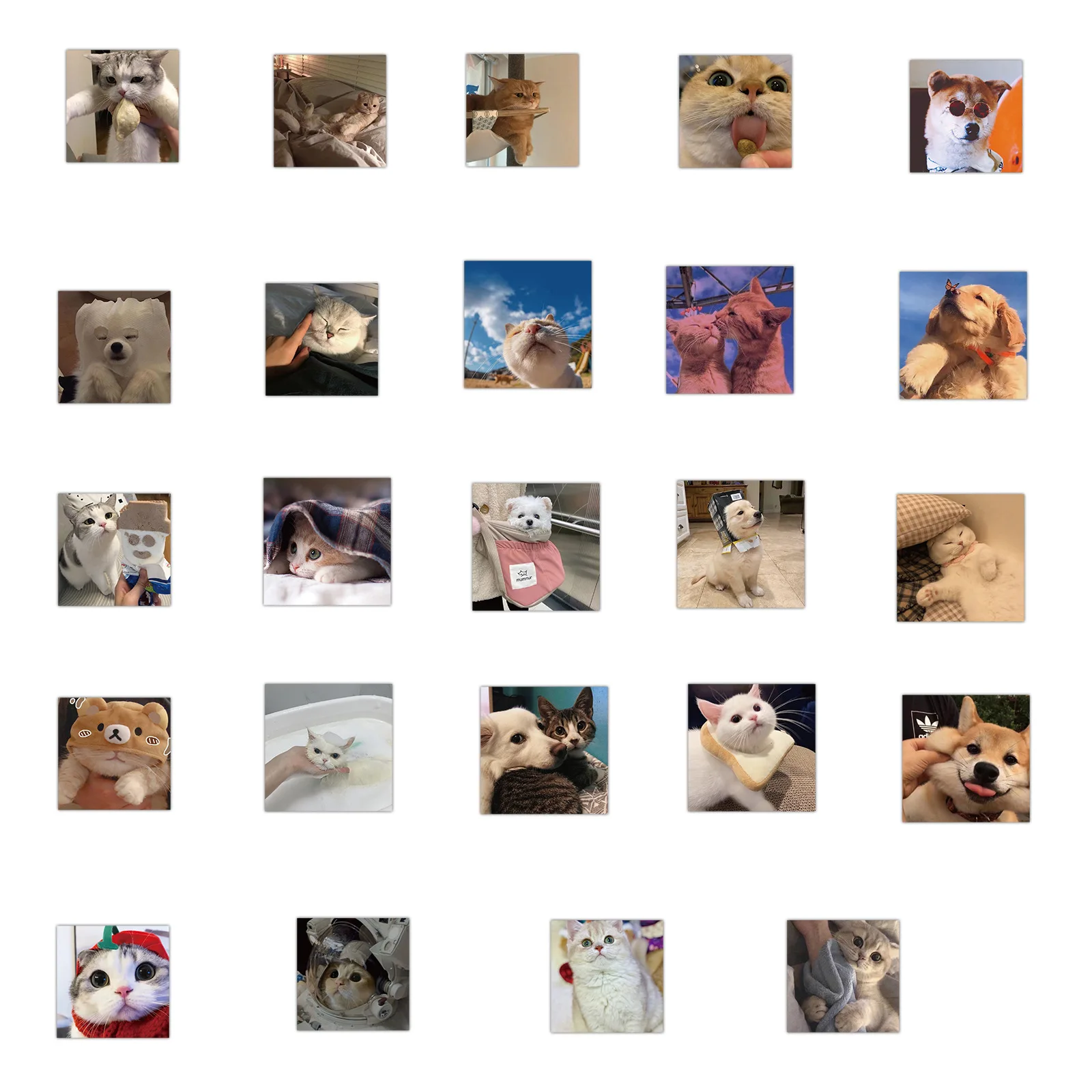 Pegatinas de animales Kawaii para ni&ntilde;os, calcoman&iacute;as impermeables, divertidas, de gato, perro, para ordenador port&aacute;til, equipaje, guitarra, &aacute;lbum de recortes, 10/30/50 Uds.-4