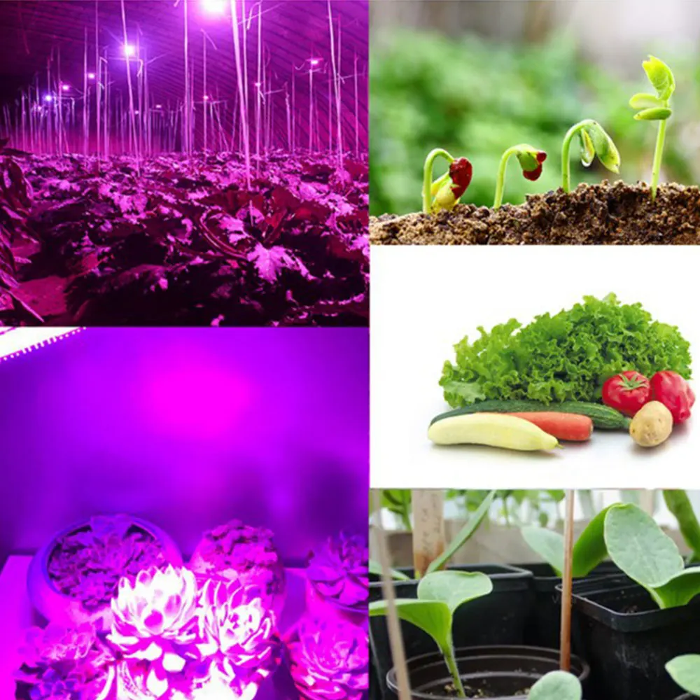 Светодиодный жесткий водостойкий светодиодный светильник IP68 для выращивания