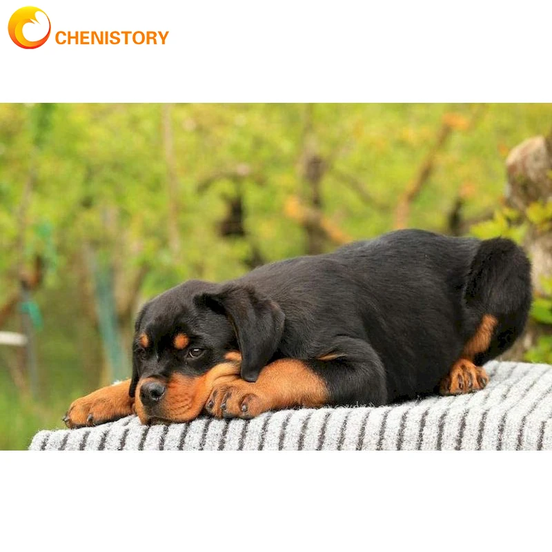 

CHENISTORY Animals Diamond Painting Black Dog 5D DIY Diamond Mosaic House Full Square Natural Landscape Embroidery Handicrafts
