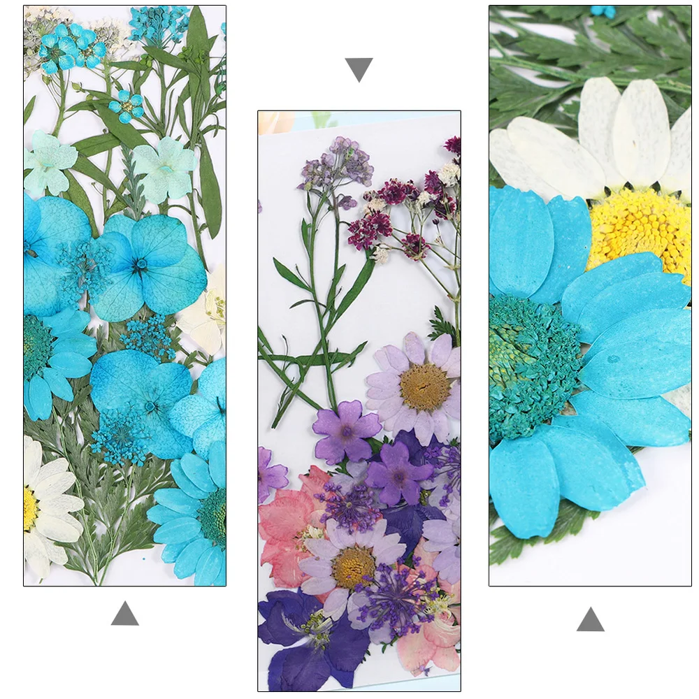 

2 Sets Flower Plants Specimen DIY Embossing Dried Flower Epoxy Flower Material