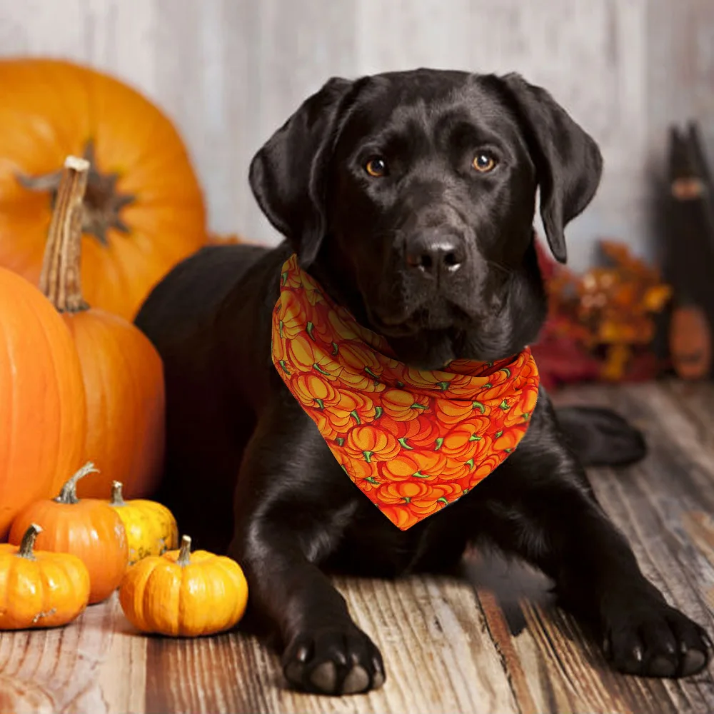 Dog Halloween Collar Bandana Halloween Pet Neckerchief Scarf Neck Scarf for Medium Dogs Cats Grooming Accessories for Pets