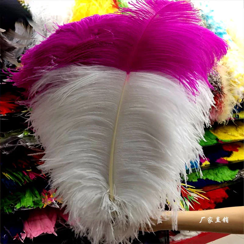 

The New 50pcs/lot High Quality White and Rose Ostrich Feather Christmas Wedding Dancers Jewelry Accessories Feathers for Crafts