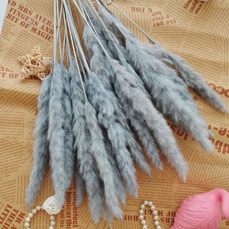 

15PCS Natural Dried Flowers Reed Grass Flower â€‹Wedding Bouquet Small Pampas Grass Gray White Phragmites Home Party Decoration