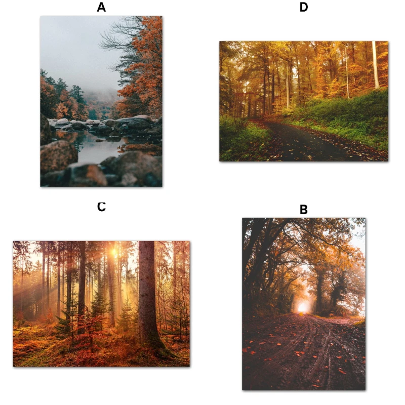 Пейзаж лесной закат поток пейзаж Настенная картина Картина на холсте