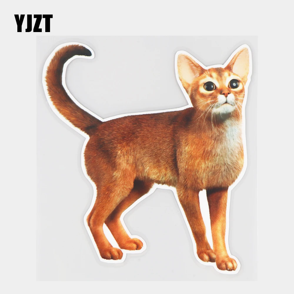 

YJZT, 15 × 16,7 см, милая аниме-кошка бездны, автомобильные наклейки, модные аксессуары для украшения кузова 21A-1005