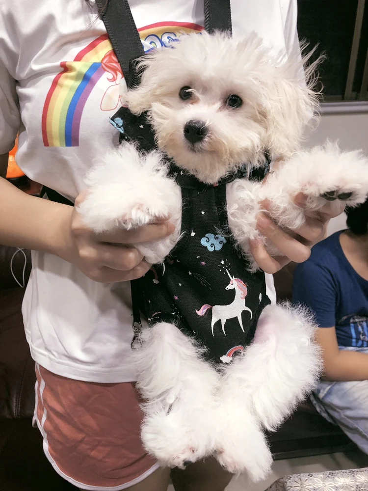 Новая мода Собака Кошка Щенок переноска Передняя открытый рюкзак сумка с милым