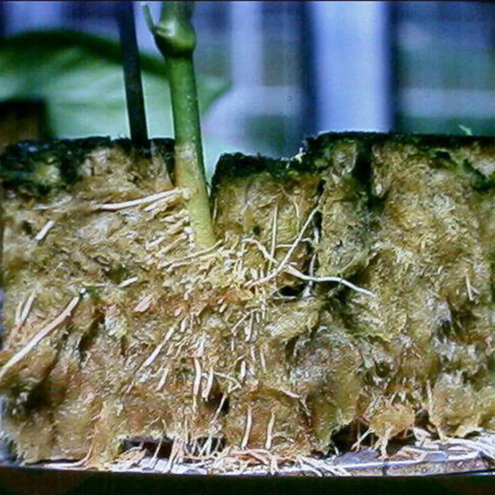 Soilless Culture Substrate Agricultural Cutting Seedling Block Hydroponic Grow Media Propagation Cloning Rockwool Cubes 50 | Дом и сад