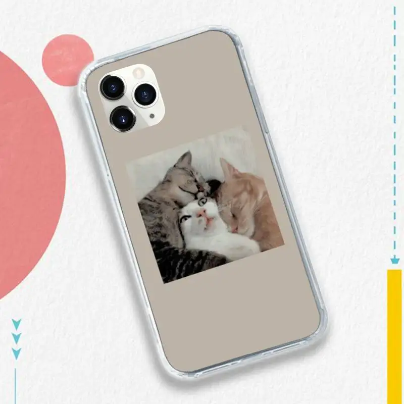 

Aesthetic Cute Animal Cat Phone Case Transparent soft For iphone 5 5s 5c se 6 6s 7 8 11 12 plus mini x xs xr pro max
