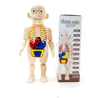 human organ model diy assembled toy science and education enlightenment experiment teaching aid teaching props for children