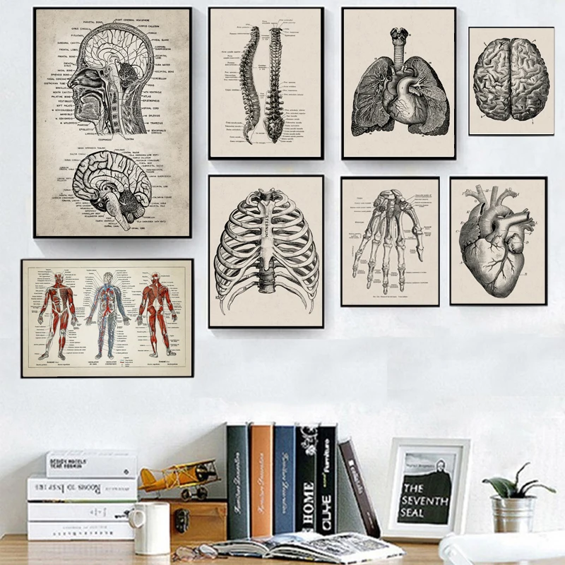 

Anatomia umana Wall Art Hospital poster e stampe Vintage Doctor Office Decoration Skeleton Anatomical Skull Canvas Painting
