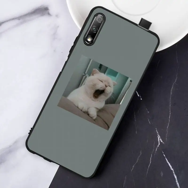 

Cute Animal Cat Dog Art funny Phone Case For Huawei Honor NOVA 4 5 I 6 7 A 8E 8C 8X 9 C v 20 30 30s 5A Y6 II pro PLAY lite E Y7p