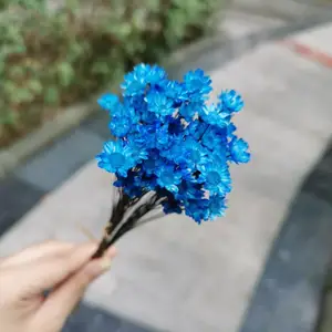 0,5-1 см100 шт., натуральные вечные мини-розы, сухофрукты, изящный маленький букет для свадебной вечеринки, украшение для дома