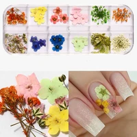 24pcs dried flower nail decoration natural flower leaf sticker 3d japanese nail art creative design 12 grid box nail accessories