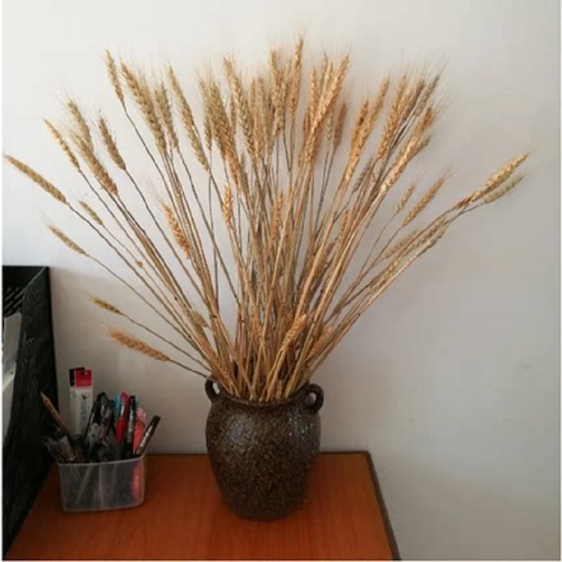 

Wheat Natural Dried Flowers Wedding Party Decoration Craft Scrapbook Diy Home Decoration Artificial Wheat Bouquet Photo Props