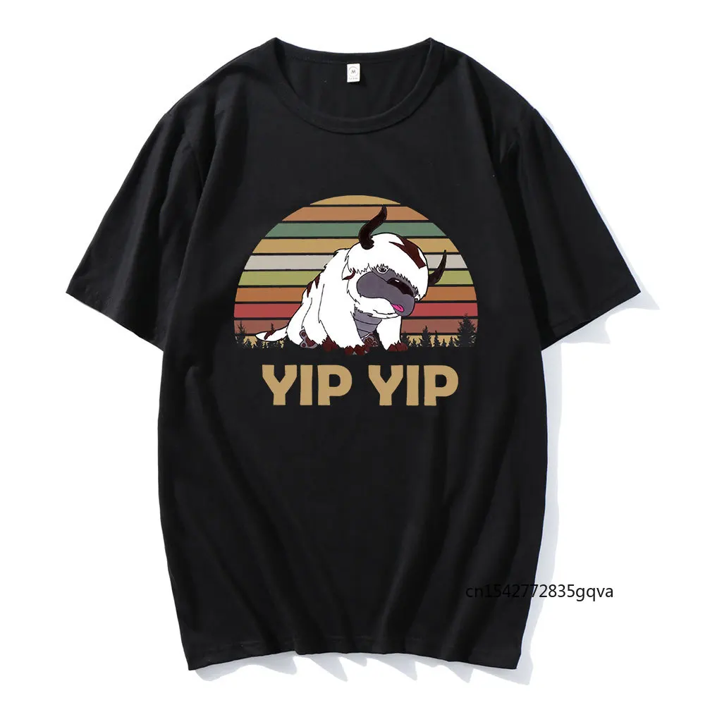 

2021 Hot Sale Summer Tees Avatar The Last Airbender Printed Fashion Classic Couple Streetwears Oversize Daily Casual Wear