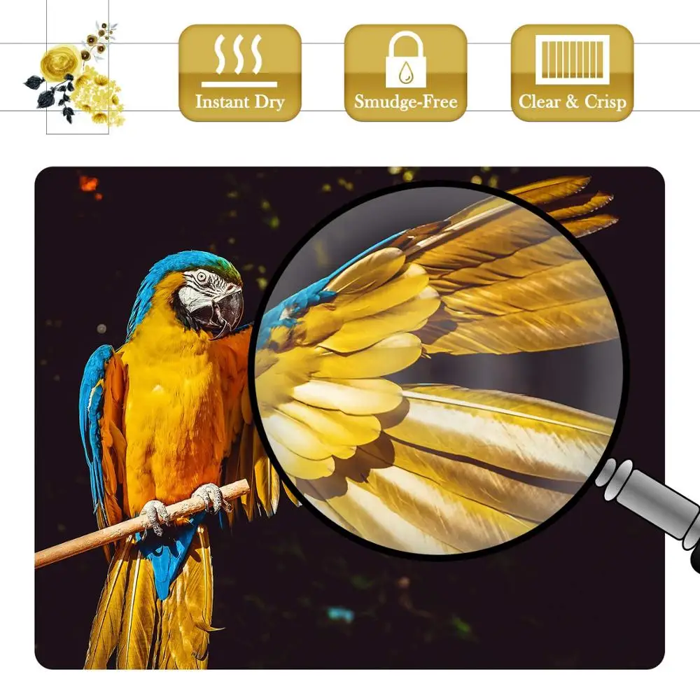 20 листов фотобумаги A3 Глянцевая струйная печать для струйного принтера