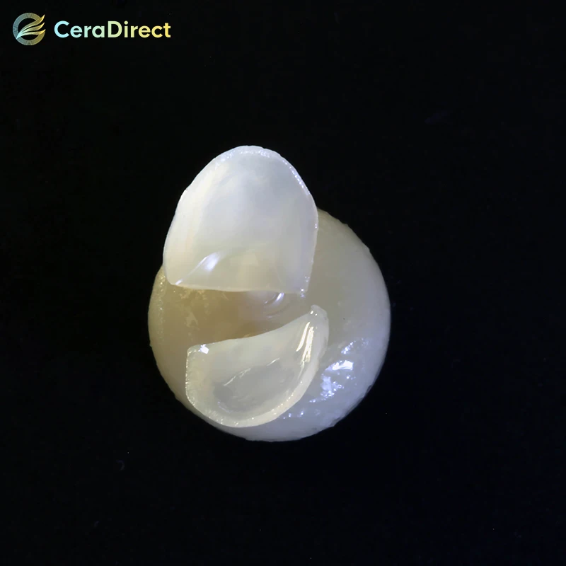 Ceradirect стеклянный керамический слиток (прессованный фотографический)-LT(5 шт.) |