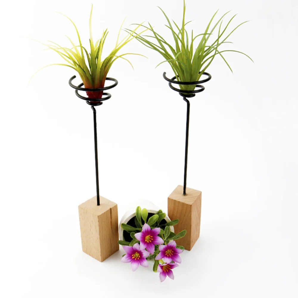 

3pcs Iron Air Plant Stand Container Tillandsia Holder Tabletop Plant Pot Display Rack Vase with Wooden Base