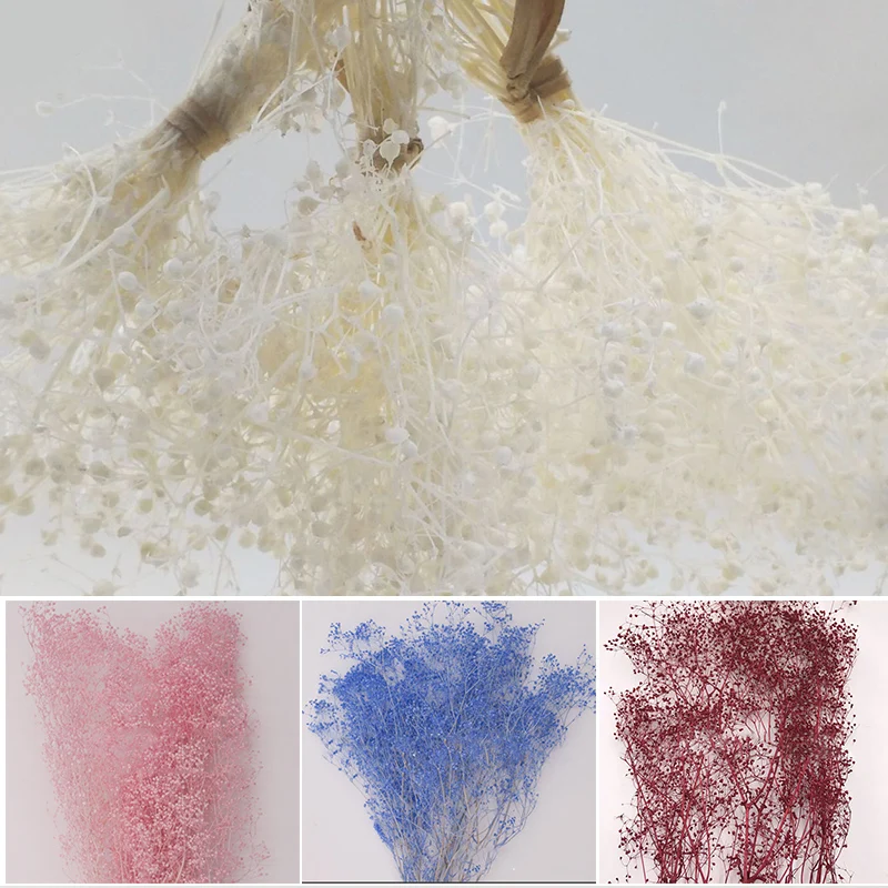 

Gypsophila Dried Flower Bouquet Accessories for Valentine's Day Gifts Greenery Decor FBS889