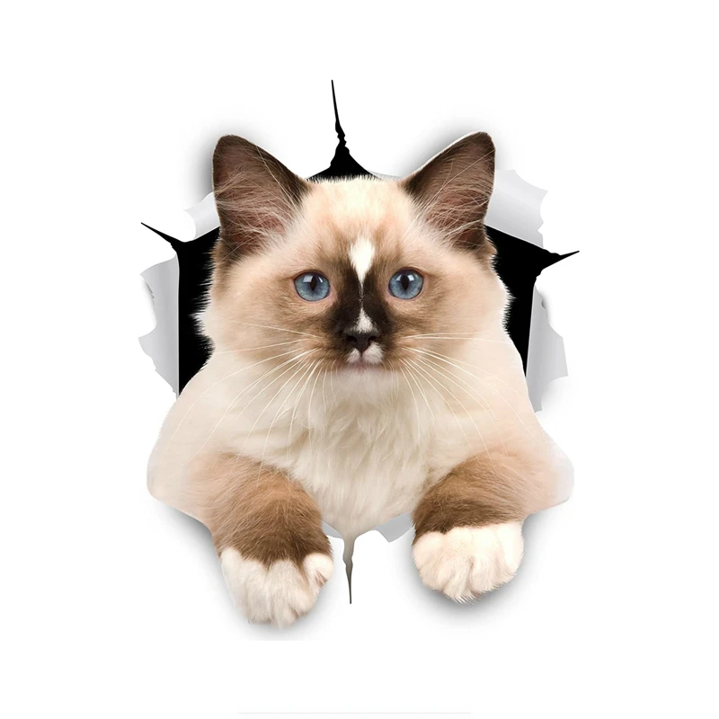 

15cmx15cm Cute kitty Vinyl Car-Sticker Automobiles Motorcycles Window Bumper Laptop Vinyl Decal Decorative Goods