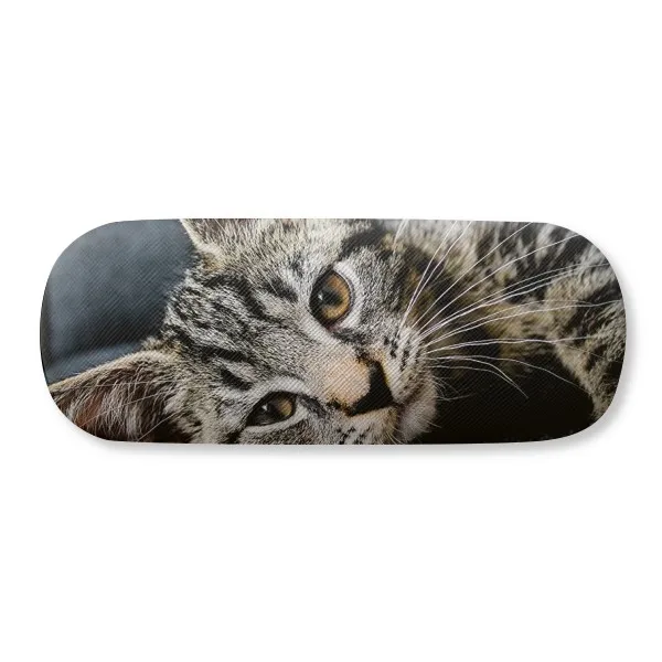 Кошка полоски Китти животных расслабиться милые очки Чехол для очков футляр