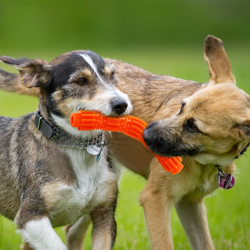 Игрушка для домашних животных игрушка устойчивая к укусам еда молярная палочка