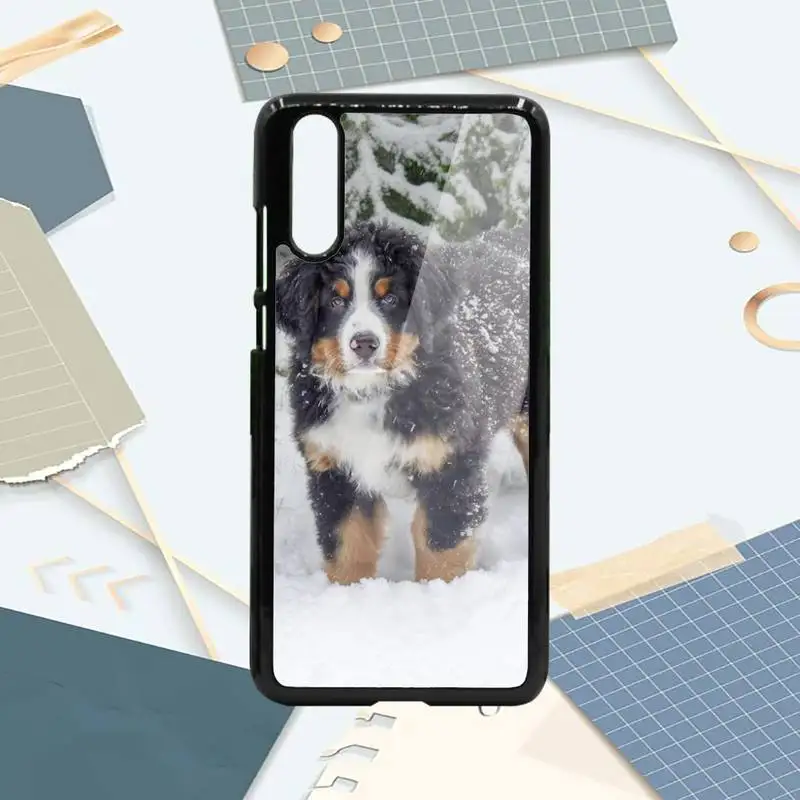 

Bernese Mountain Dog fashion fundas Phone Case PC For Samsung galaxy S note 8 9 20 10 e lite2019 plus pro ultra