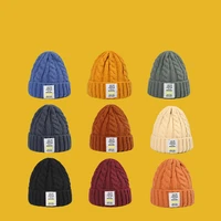 winter outdoor warm wool hat mens and womens fashion simple knitted hat couple student leisure hat hip hop caps beanie cap