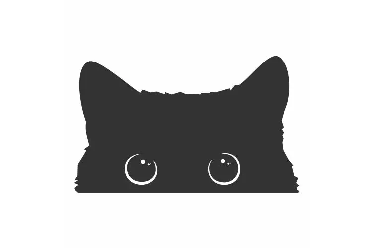 

Creative Car Sticker Poor Cat Is Stealing with Big Eyes Watch KK Vinyl Car Decals for Car Light Sign Waterproof 15cm*9cm