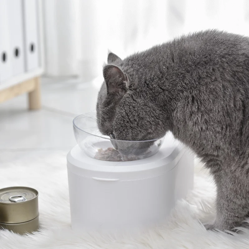 

Pet Food Water Double Bowls Non-slip Raised Stand Pet Detachable Bowl