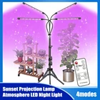 Светодиодсветильник фитолампа полного спектра с USB-разъемом, лампа для растений, саженцев, цветов, короб для выращивания растений
