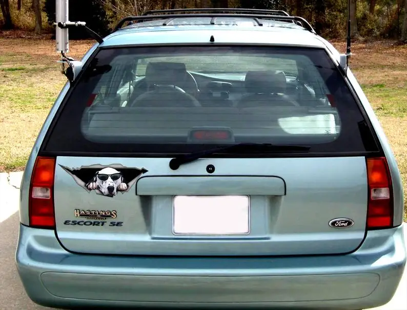

2021 Dalmatian car Decal, Pet decal , Dog Decal, Vinyl Decal, Car Decal, funny decal, Laptop Decal, 3D sticker