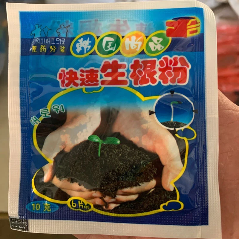 

10 шт., быстрое растение