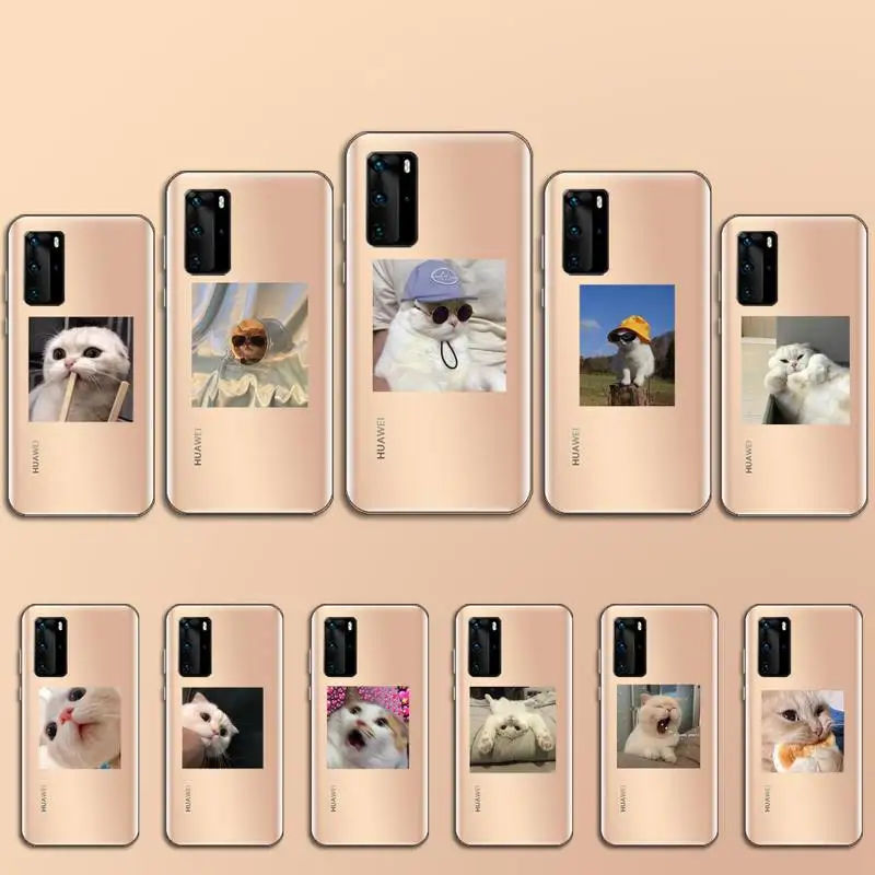 

cute cat Phone Case Transparent for Huawei P20 P30 P40 honor 8 10i P smart 2019 Samsung A71 A21S S10 20 plus
