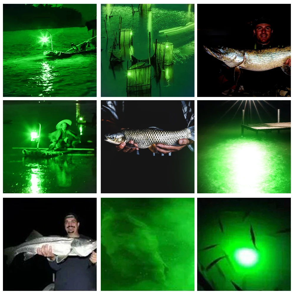

Underwater Fish Lure Bait Finder Lamp Attracts Prawns Squid Krill Finder Lamp 1200LM LED Submersible Fishing Night Light