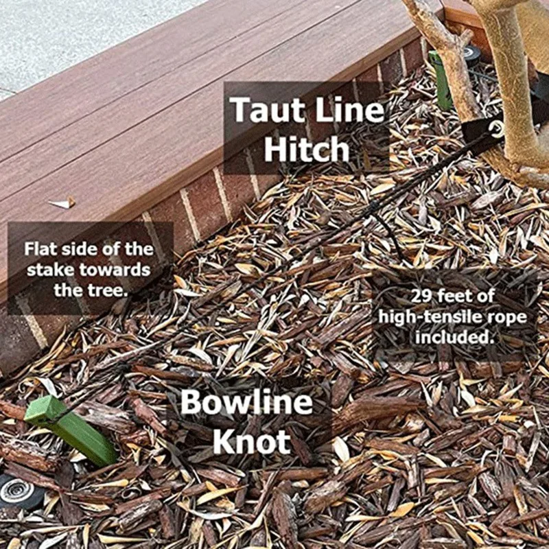 

Stump Set-Anchor Set for Young Trees Safe Material-to Ensure Healthy Growth in a Straight Line-Windproof