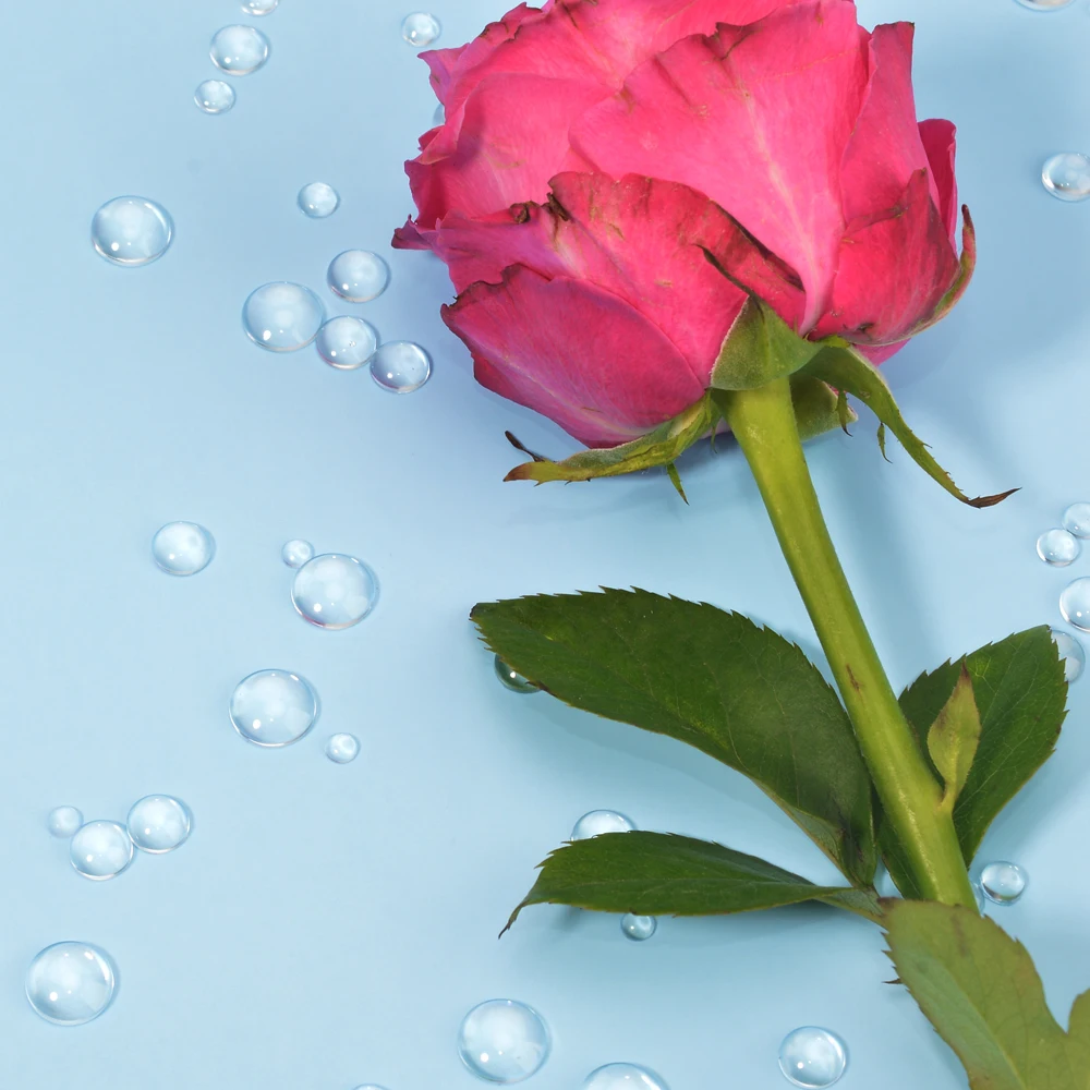 100/200/500 шт. металлические штампы и штампы|Украшение| |