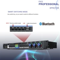 paulkitson fx12 karaoke pre effects ktv professional digital audio echo effect processor dsp audio processor with bluetooth usb