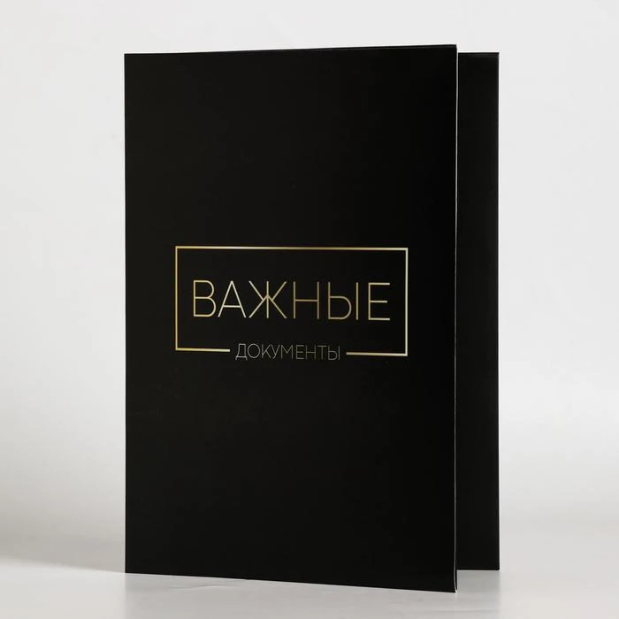 Папка для семейных документов Важные документы 12 файлов 4 комплекта|Папка файлов|