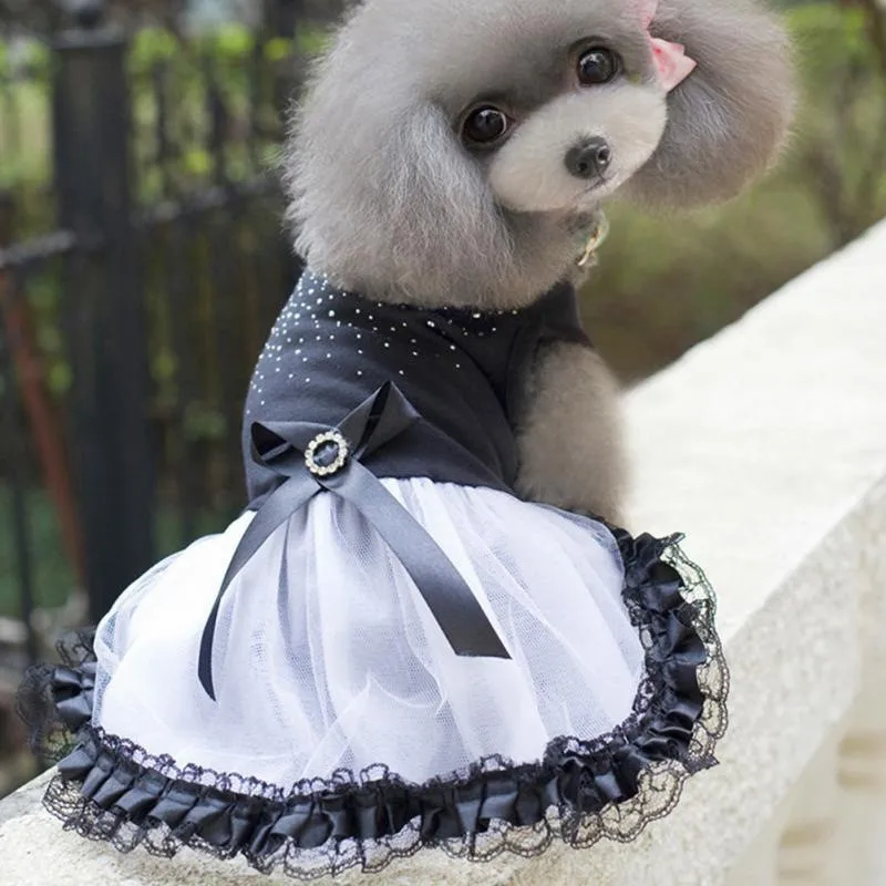 1 шт. кружевная юбка пачка для собак и кошек|Платья собак| |