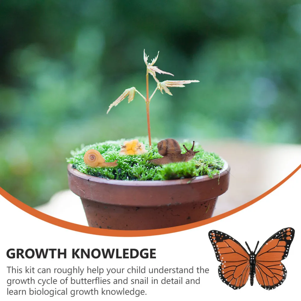 

2 Sets Insect Animal Figures Life Cycle Models of Snail and Butterflies for Kids