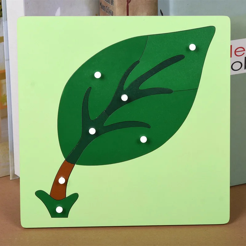 Деревянные игрушки монтессори детские биологические животные доска обучающие