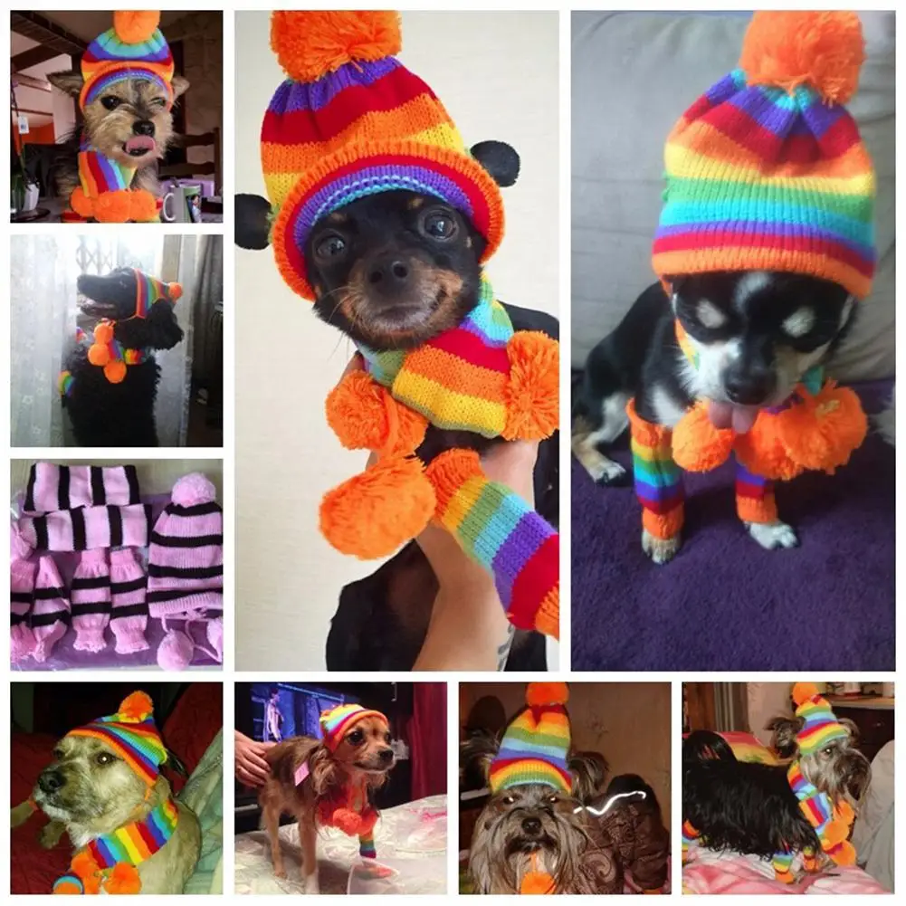 

Winter Pet Puppy Accessories For Dogs Teddy Knitted Striped Hats Scarf Socks Little Small Big Animals Cat Products