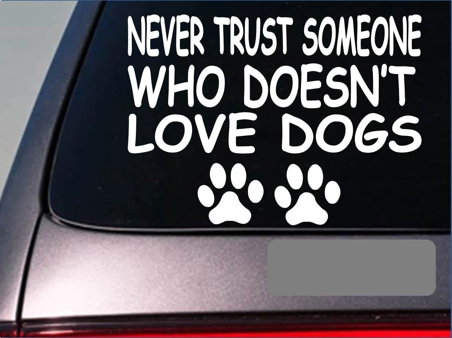 Никогда не доверяйте собаке спасательный Кот стикер собака наклейка виниловый