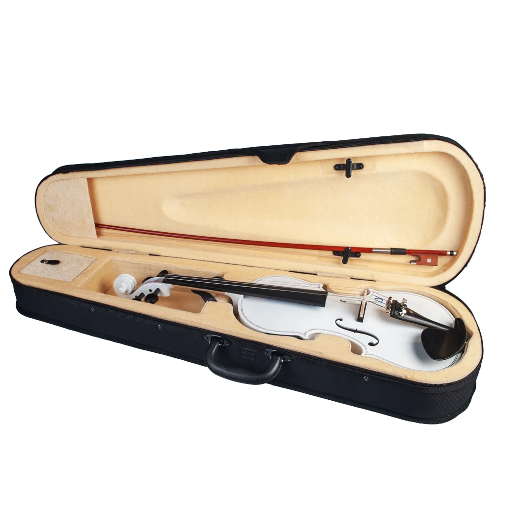 

NAOMI Acoustic Violin Set With EQ Installation Solidwood 4/4 Fiddle w/ Brazilwood Bow+Audio Cable+Rosin+Violin Case